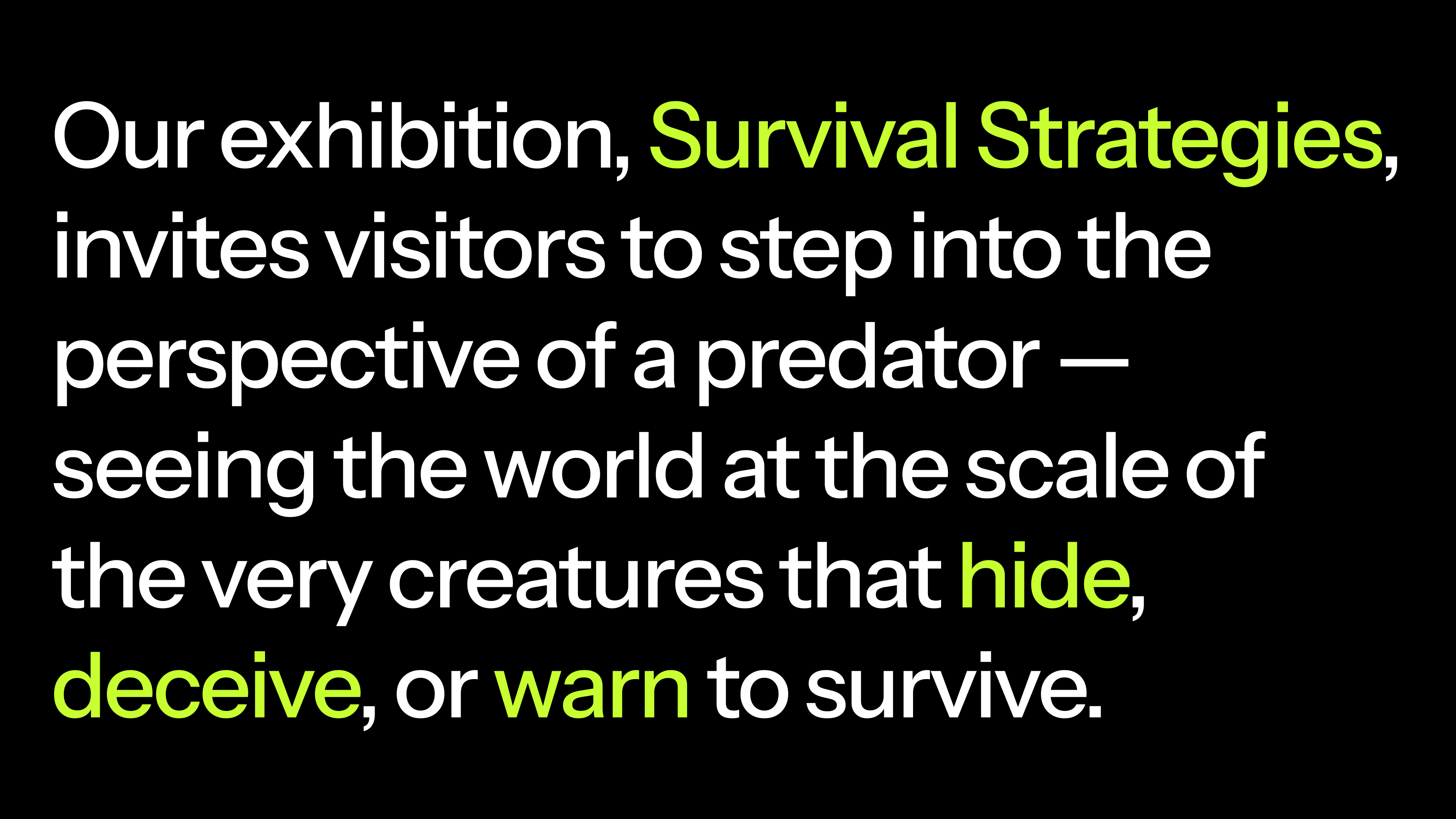 Survival Strategies 2